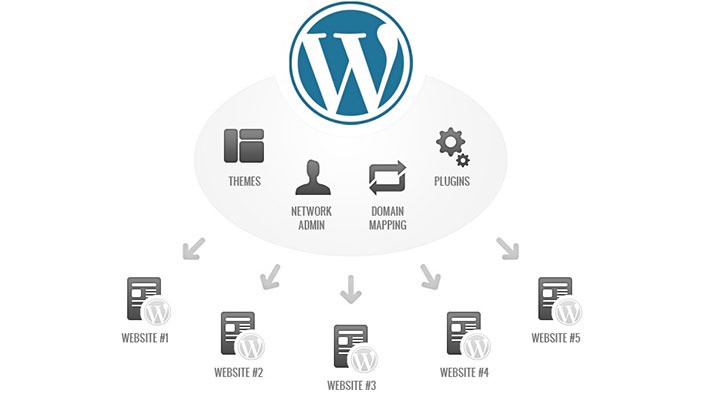 Cara Membuat WordPress Multisite Secara Lengkap