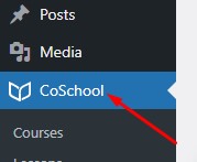 CoSchool menu on the WordPress dashboard