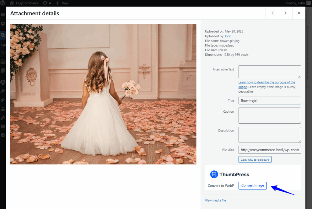 single image conversion button.