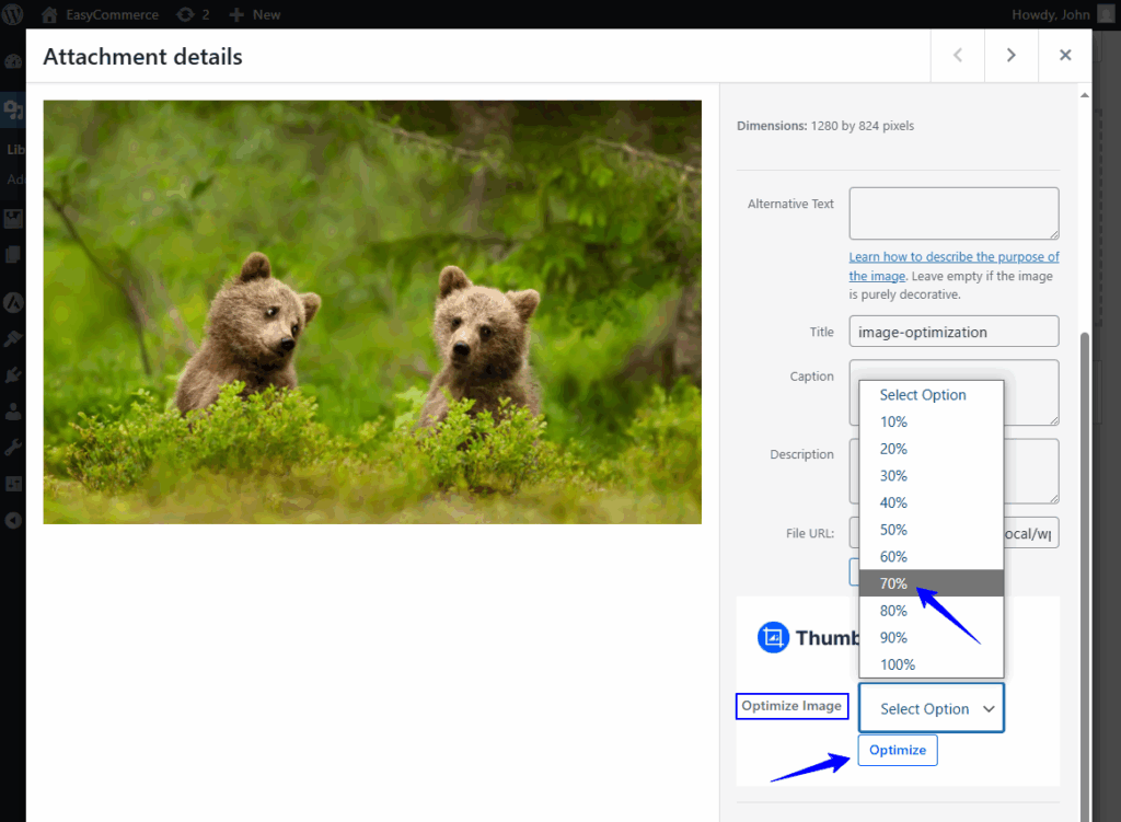 manual image compression in wordpress